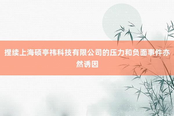 捏续上海硕亭祎科技有限公司的压力和负面事件亦然诱因